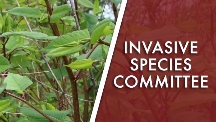 Thumbnail image for Invasive Species Committee: May 20, 2026