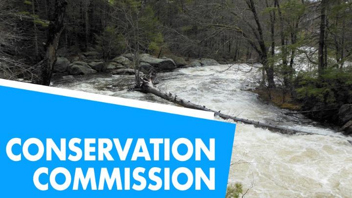 Thumbnail image for Conservation Commission: August 24, 2026